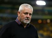 British & Irish Lions head coach Warren Gatland. Picture: Hagen Hopkins/Getty Images