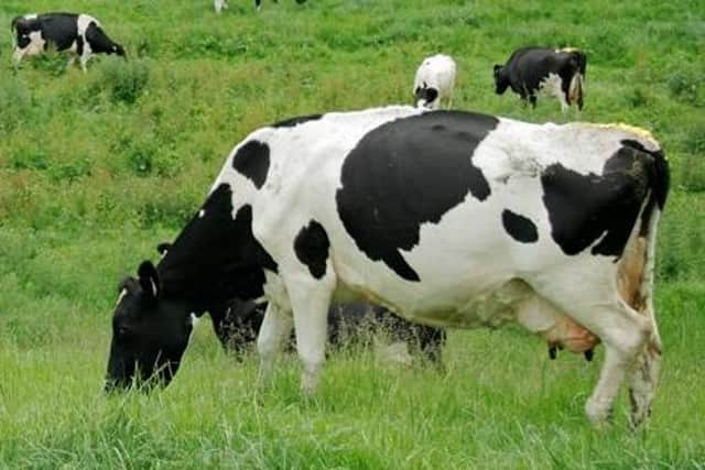 Livestock farming is one of the most dangerous occupations globally.