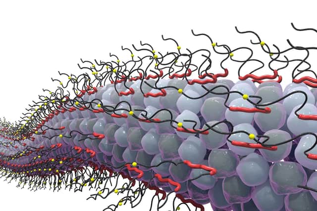 Among tau's multiple functions in healthy brain cells, a very important one is stabilisation of the internal microtubules which support nerve cell structure