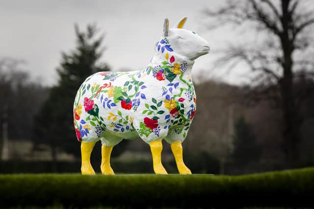 Don’t miss a bleat of this fantastic trail to the Royal Highland Show