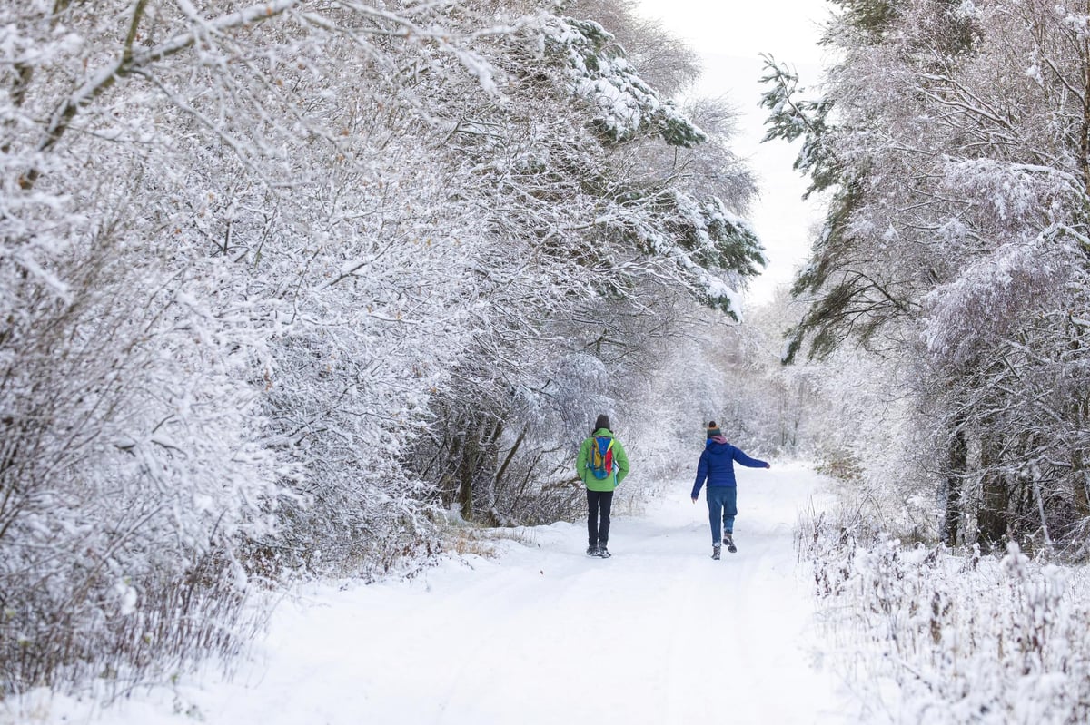 Scotland weather: Temperatures to stay below freezing during the day in parts of Scotland with snow on the way