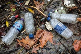 It's estimated that around 12 million tonnes of plastic ends up in seas around the world each year, and the figure is set to increase -- plastic pollution is thought to kill around  100,000 marine mammals and one million seabirds annually. Picture: Getty