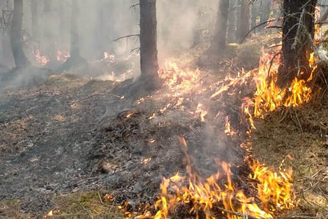 Firefighters fear the blaze, on forest and moors near Cannich, could continue to burn for several days – the situation could be worse if peat ignites, which can cause a fire to massively intensify and spread underground. Picture: FLS
