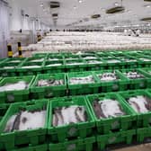 ​Processors boycotted Wednesday’s auction in protest at bidding changes.
