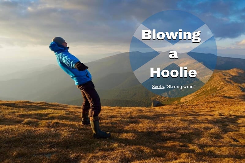 This phrase is reportedly derived from the Orkney Scots word "hoolan" which refers to a very strong wind.