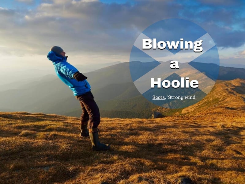 This phrase is reportedly derived from the Orkney Scots word "hoolan" which refers to a very strong wind.