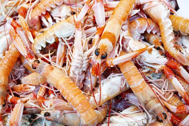 SeaFest Peterhead is a new seafood festival taking place in the north-east of Scotland this month