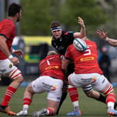 Munster defended impressively against Glasgow Warriors during their recent win at Scotstoun.  (Photo by Craig Williamson / SNS Group)