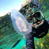 Rachel Brooks first learned to dive in Australia but has been living on the west coast of Scotland for the past three years, where she takes inspiration from local marine life for her artworks and mission to help conserve threatened species