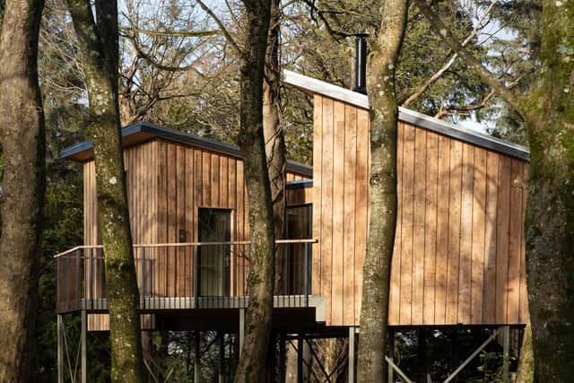 The exterior of Siskin at Treehouses by Leckie