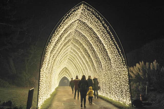 The Christmas at the Botanics trail at the Royal Botanic Garden in Edinburgh will close for one night due to extreme weather conditions. Picture: Ian Rutherford.