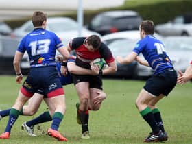 Clubs in Scotland are to be consulted on tackle height.