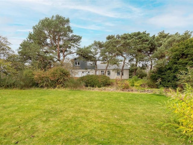 Rear garden.