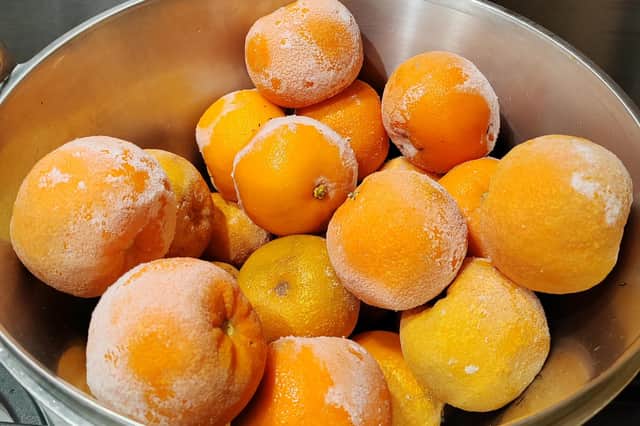 3kg of Seville oranges from the freezer, ready to turn into marmalade. Picture: Will Slater