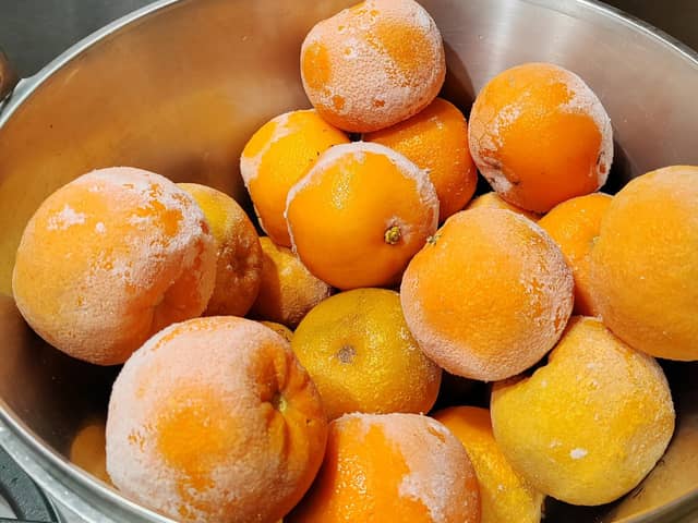 3kg of Seville oranges from the freezer, ready to turn into marmalade. Picture: Will Slater