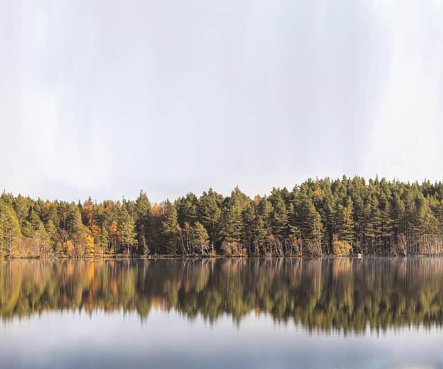 Picture: Jan Holm/Shutterstock