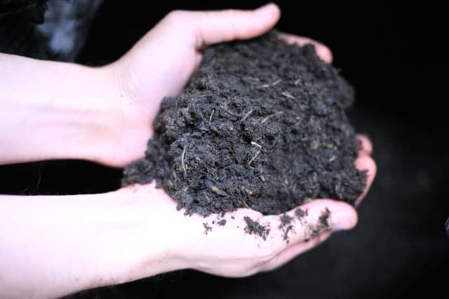 SilviBio develops sustainable propagation mixes for the horticulture and forestry sectors, using a patent-pending process to turn underutilised British wool and other UK-sourced materials into a growing substrate.