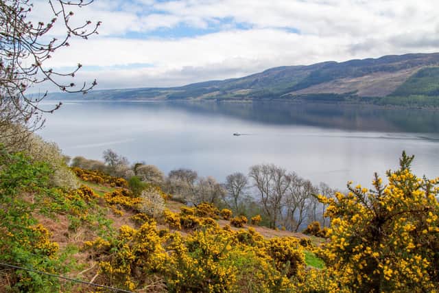 A scenic landscape at Loch Ness. Picture: Getty Images