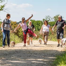 Hearing Dogs for Deaf People is teaming up with Specsavers to ask people in Scotland to take on an October walking challenge.