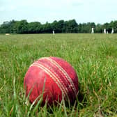 Cricket ball