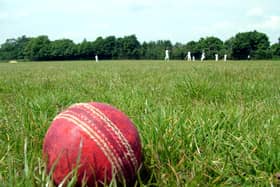 Cricket ball