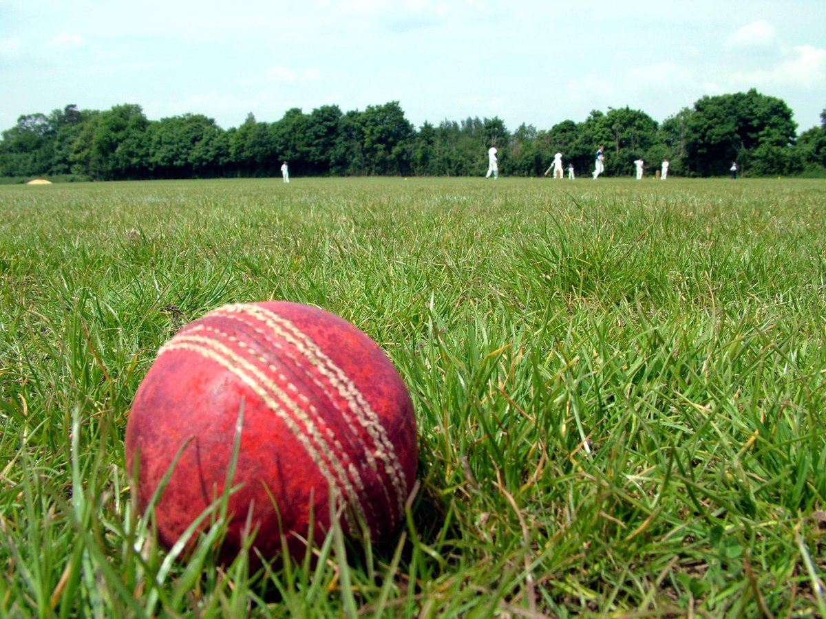 Cricket Scotland chief ‘determined’ to solve racism issues in sport