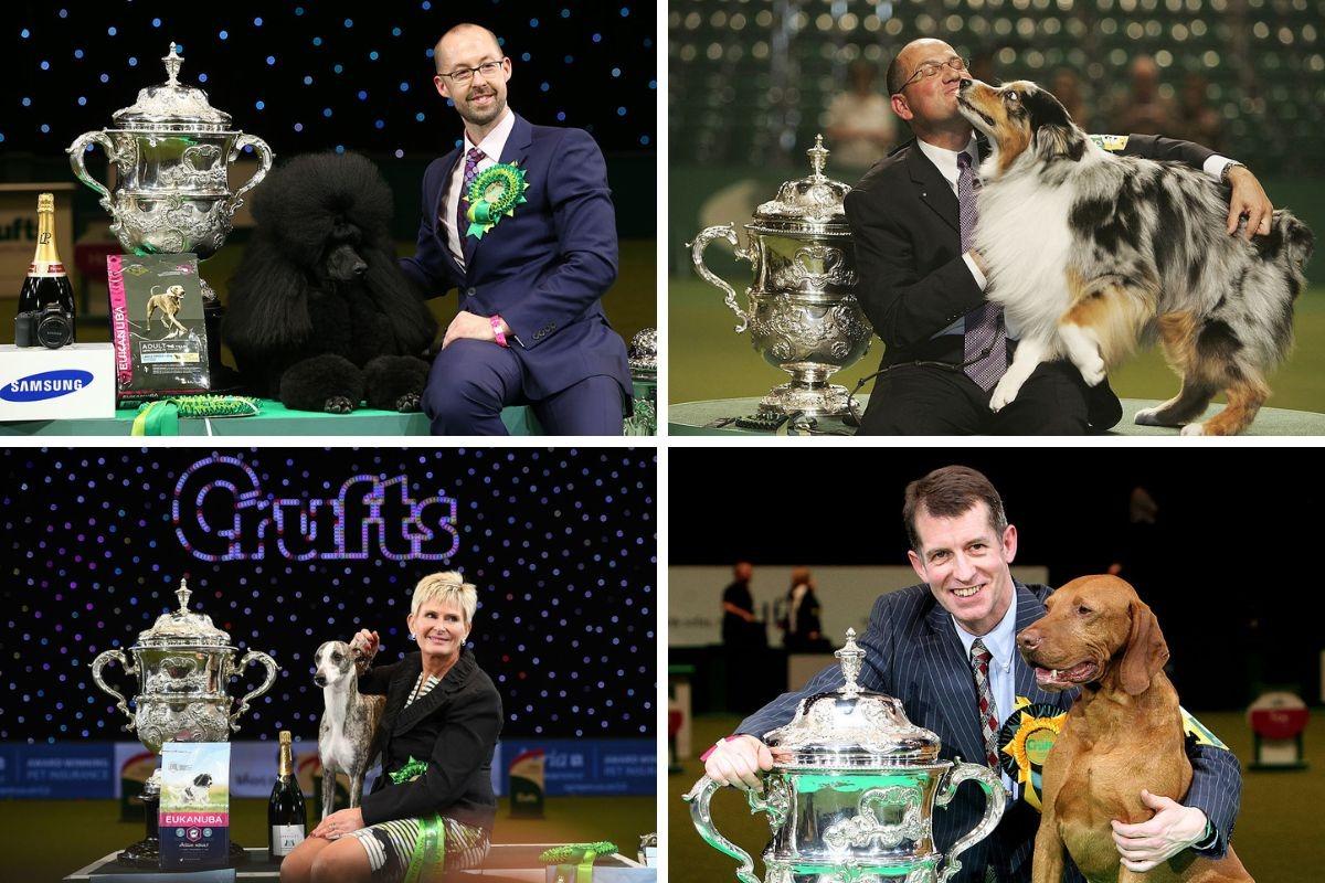 Every dog to have been crowned Best in Show at Crufts since 2005