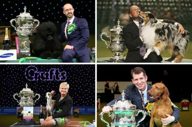 Four of the recent Crufts Best in Show winners.