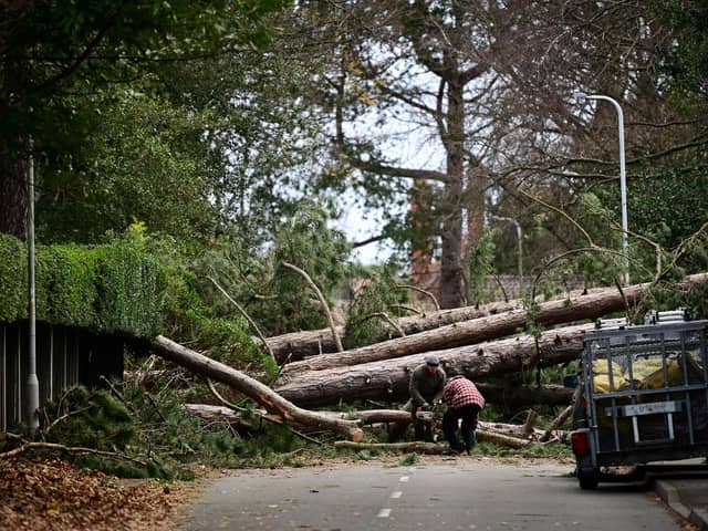 Climate change means more extreme weather like Storm Arwen in November (Picture: Paul Ellis/AFP via Getty Images)