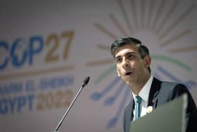 Prime Minister Rishi Sunak speaks speaks at COP27. Picture: Stefan Rousseau - Pool/Getty Images