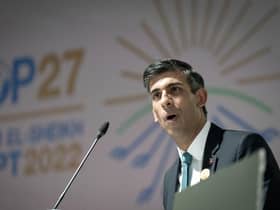 Prime Minister Rishi Sunak speaks speaks at COP27. Picture: Stefan Rousseau - Pool/Getty Images