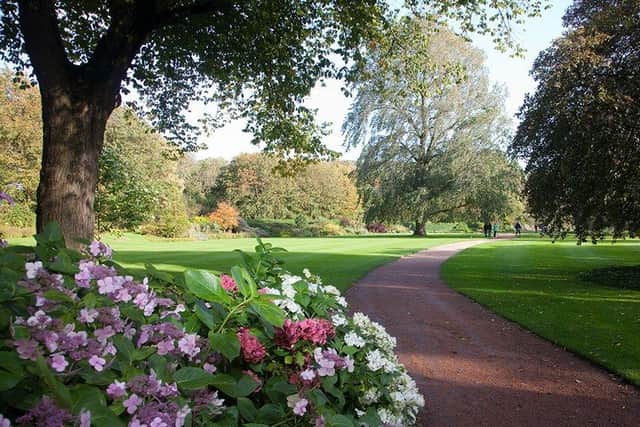 The Palace of Holyrood garden is a haven for flora and fauna