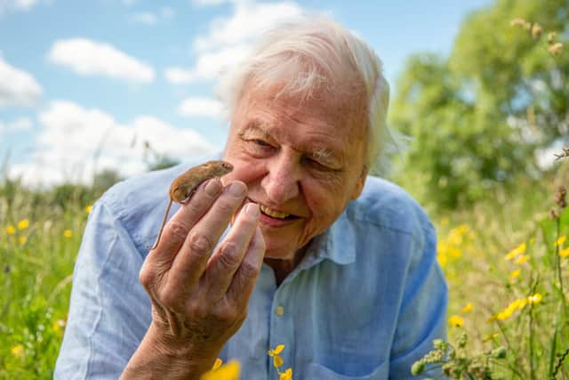 David Attenborough in Wild London
