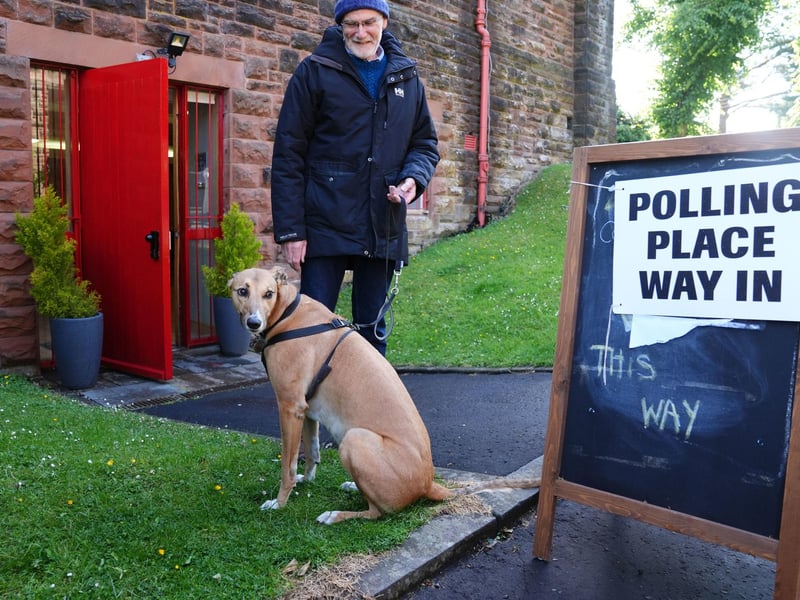 A lurcher called Alfie outside Pollokshields Burgh Halls in Glasgow.