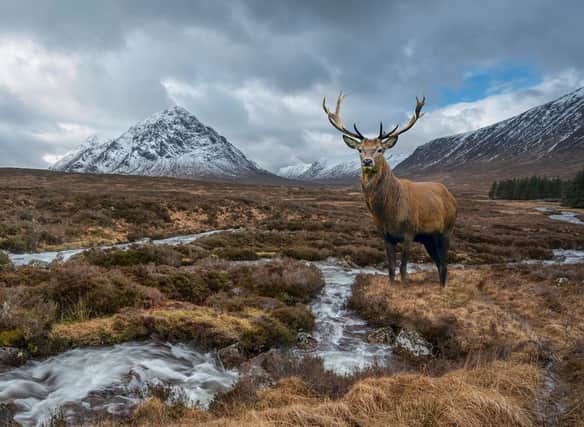 Visit Scotland reports that the country has "over 40 glens waiting to be discovered, each unique in their own way."