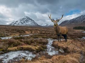 Visit Scotland reports that the country has "over 40 glens waiting to be discovered, each unique in their own way."