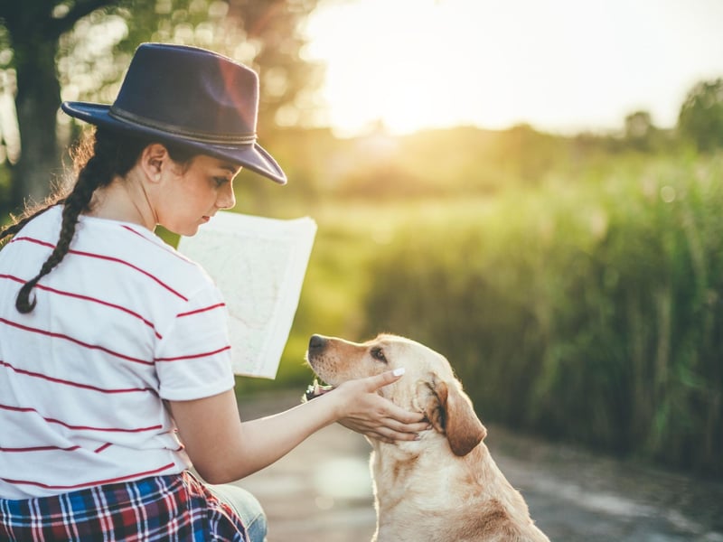 Another less obvious sign of doggy affection is yawning. If they yawn regularly when you're around it's not because they are bored - it's because they feel completely safe and comfortable in your company.