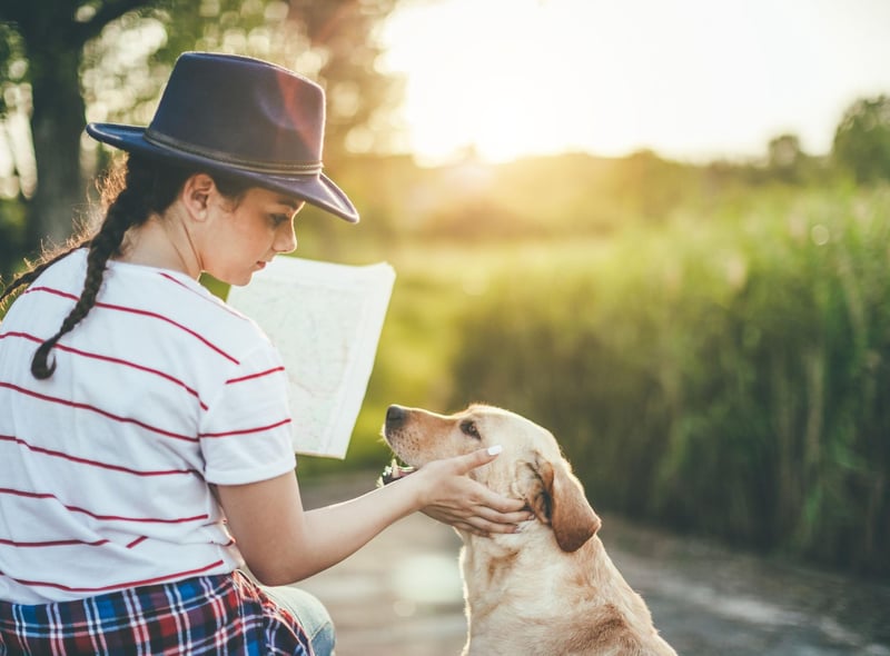 Another less obvious sign of doggy affection is yawning. If they yawn regularly when you're around it's not because they are bored - it's because they feel completely safe and comfortable in your company.