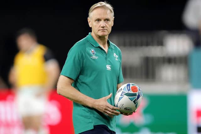 Former Ireland coach Joe Schmidt has been given an enhanced role with the All Blacks. (AP Photo/Christophe Ena, File)