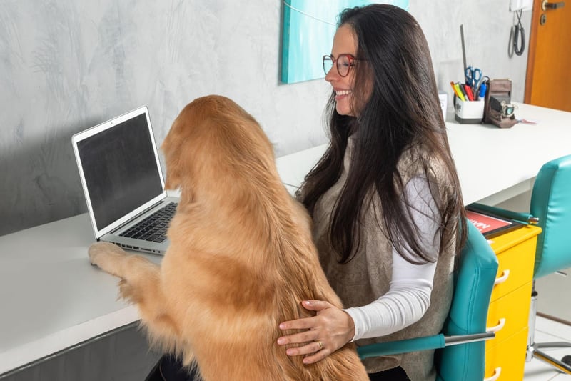 Are your company head hunting for four legged employees? Well even if they aren’t, scientific studies have concluded that the presence of pets in the workplace substantially reduces a person’s stress levels and anxiety.If your company has pet friendly policies, take advantage of bringing your furry companion to the office to make everyone’s Monday better.