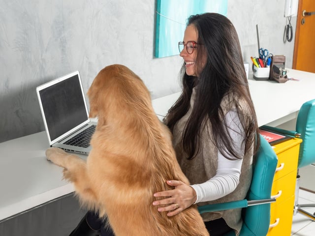 Are your company head hunting for four legged employees? Well even if they aren’t, scientific studies have concluded that the presence of pets in the workplace substantially reduces a person’s stress levels and anxiety.If your company has pet friendly policies, take advantage of bringing your furry companion to the office to make everyone’s Monday better.