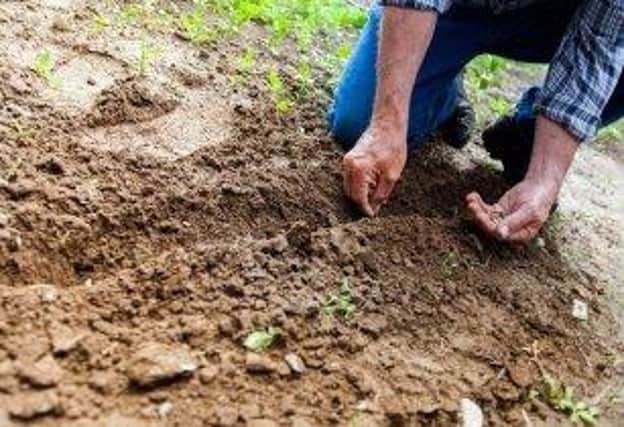 Arable farming soil impact