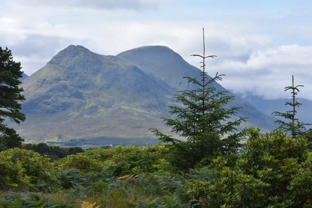 The view from the proposed site on Raasay is stunning.