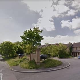 Officers were called by the ambulance service just past 5pm on Tuesday after a report that a dog had attacked a child in the back garden of a property in Broadlands, Netherfield.
