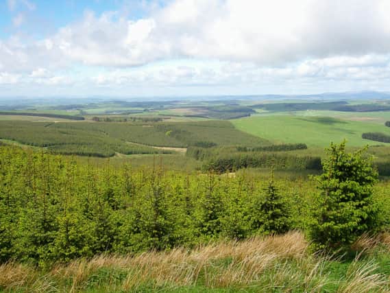 The proposals could tie up carbon in native woodlands.