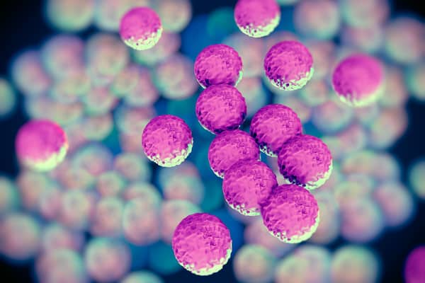 Superbugs such as the potentially lethal MRSA pose a serious risk to health due to the difficulty in treating them with regular antibiotic medicines