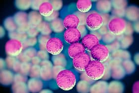 Superbugs such as the potentially lethal MRSA pose a serious risk to health due to the difficulty in treating them with regular antibiotic medicines