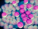 Superbugs such as the potentially lethal MRSA pose a serious risk to health due to the difficulty in treating them with regular antibiotic medicines