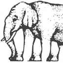 Elephant legs illusion, variant of Roger Shepard's L'egsistential paradox