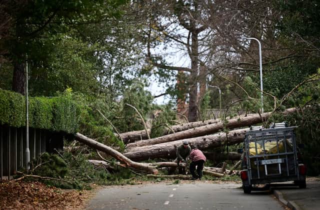 Effective basic planning beforehand could mitigate against storm damage. (Picture: Paul Ellis/AFP via Getty Images)